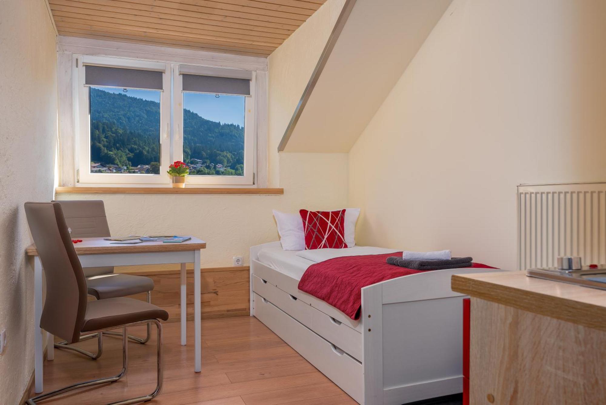 Pension Bayerwald Mit Ferienwohnung 博登迈斯 外观 照片
