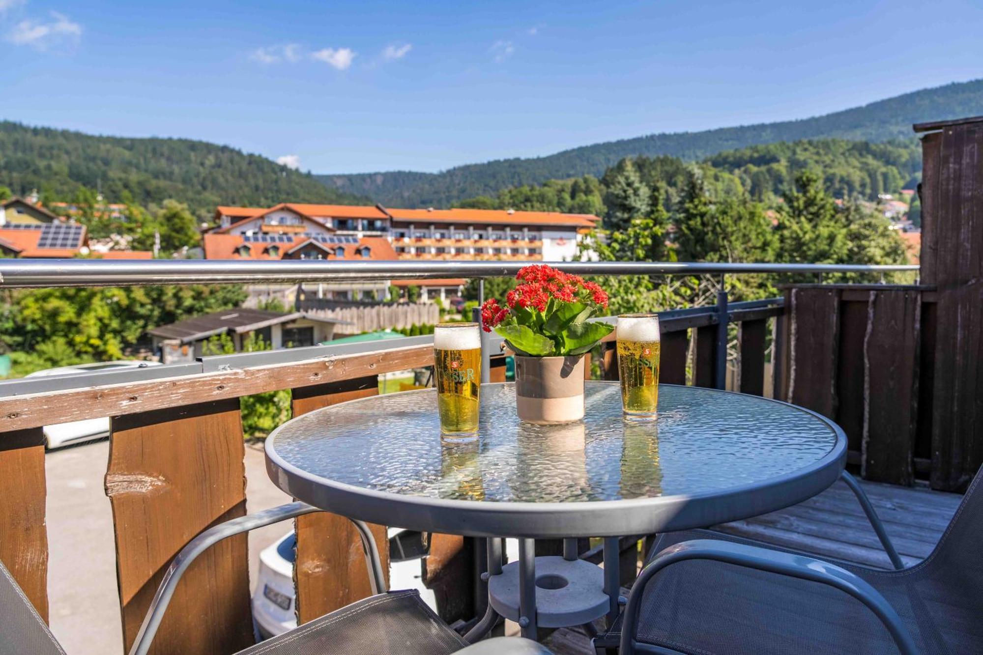 Pension Bayerwald Mit Ferienwohnung 博登迈斯 外观 照片