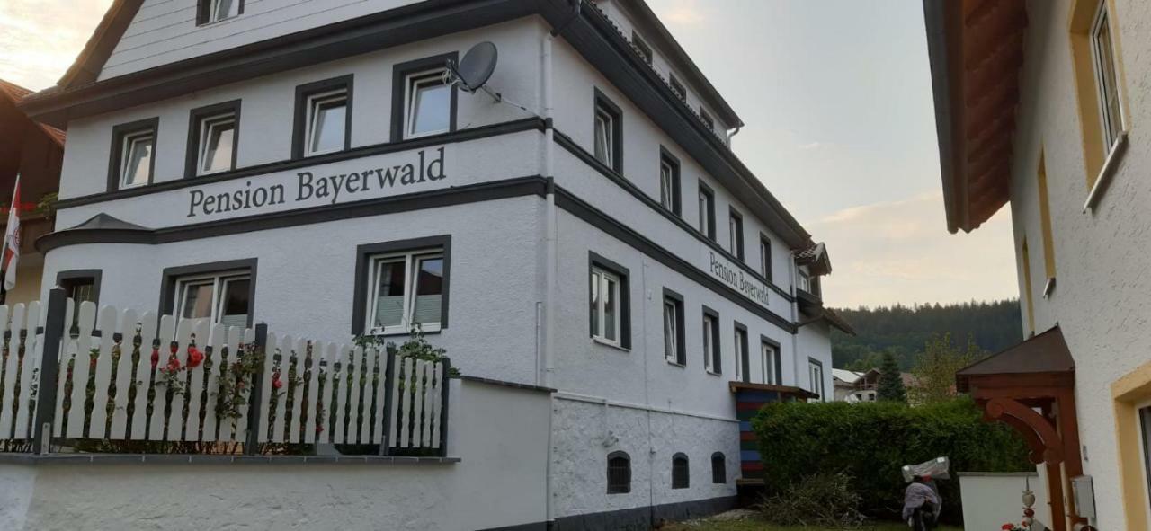 Pension Bayerwald 博登迈斯 外观 照片